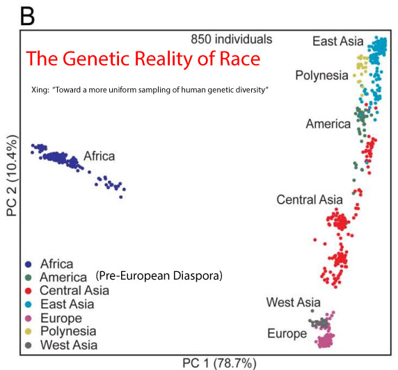 GeneticsOfRace.jpg