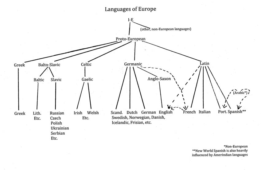 Indo European Language Family Tree Chart